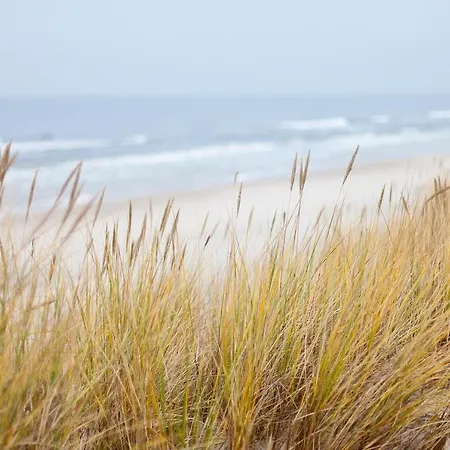 Daire Meerholung 2 1 Cuxhaven